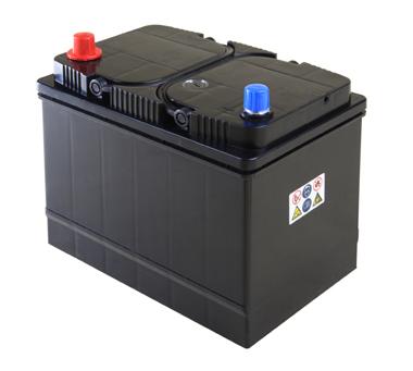 Title: Heavy-Duty Automotive Battery